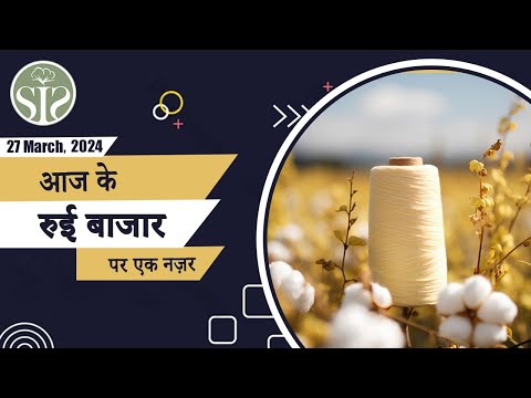 जानिए कैसा रहा 27 मार्च 2024 का सम्पूर्ण भारत का कॉटन बाजार | Today Cotton market  #kapas #bulletin