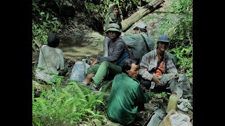 In the Forest (J ME Taung Tan Tway A Kyaung)