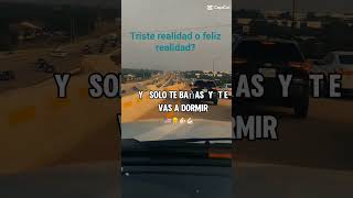 triste realidad o feliz realidad