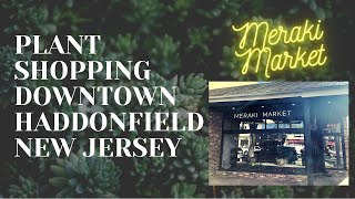 Plant shopping downtown Haddonfield NJ - Meraki Market