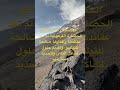 الفرق بين الحضارات الحيه والحضارات الميته الحضارات الحضارة الإسلامية الحضارة المصرية القديمة الفرق بين الحضارات الحيه والحضارات الميته الحضارات الحضارة الإسلامية الحضارة المصرية القديمة