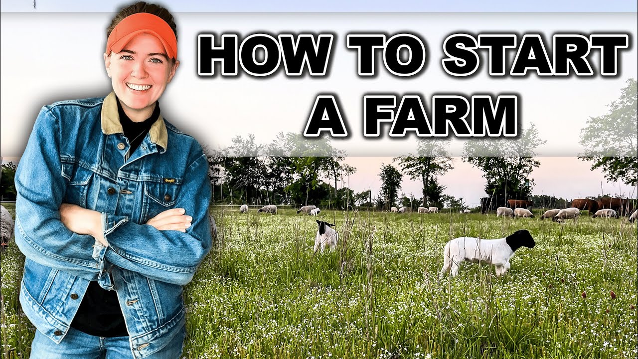 HOW TO START A (profitable) FARM IN 2025 // Beginner Farming from Scratch Sheep Cattle Ranch
