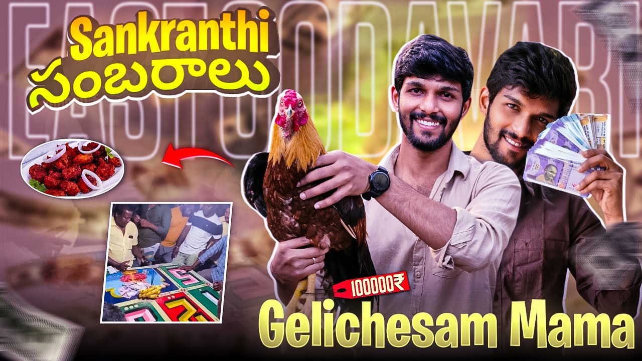 Shankranthi Celebrations🥳EAST GODAVARI🐔#nfg #eastgodavari #sankranthi #kodipandem