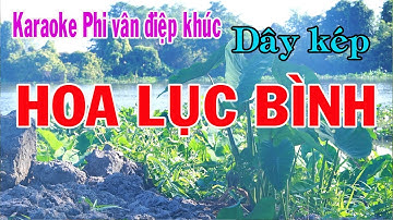 Karaoke Phi vân điệp khúc HOA LỤC BÌNH - DÂY KÉP