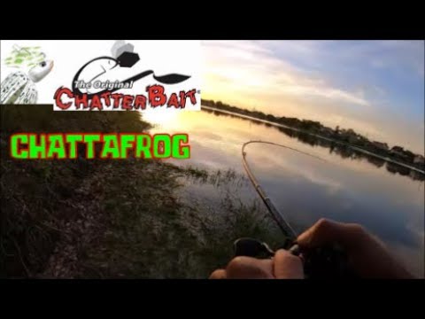 kayak flight The Z-Man Chatterfrog, That's The Ticket!