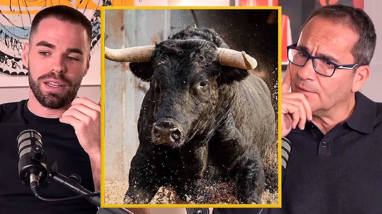 Biólogo Responde la Gran Pregunta: ¿Sufre el Toro Durante una Corrida?
