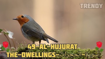 49-Al-Hujurat-The-Dwellings-سورة-الحجرات