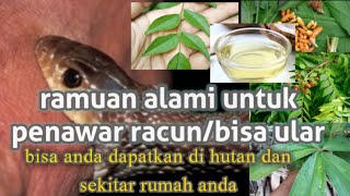 7 natural remedies to treat snake bites/venom, as first aid for snake bites