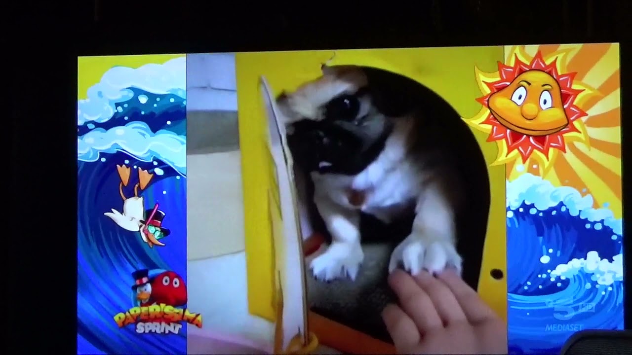 Paperissima sprint Estate 2021 episodio 10 parte 2