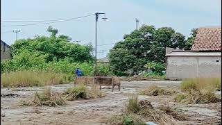 Bersih Bersih Halaman Pabrik Penggilingan Padi. 