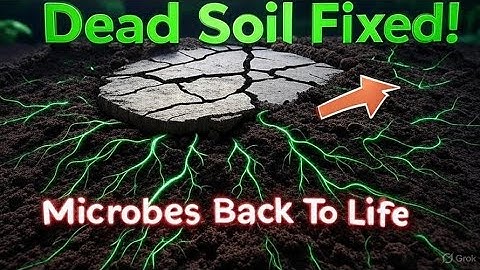 Lazy But Genius Trick To Revive Dead Soil Fast | Trigger Microbes Back To Life Instantly