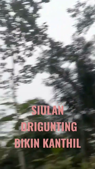 Siulan srigunting bikin kanthil pasangan #burung #birds #shorts