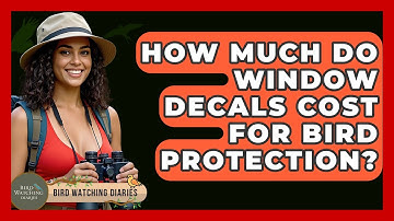 How Much Do Window Decals Cost For Bird Protection? - Bird Watching Diaries