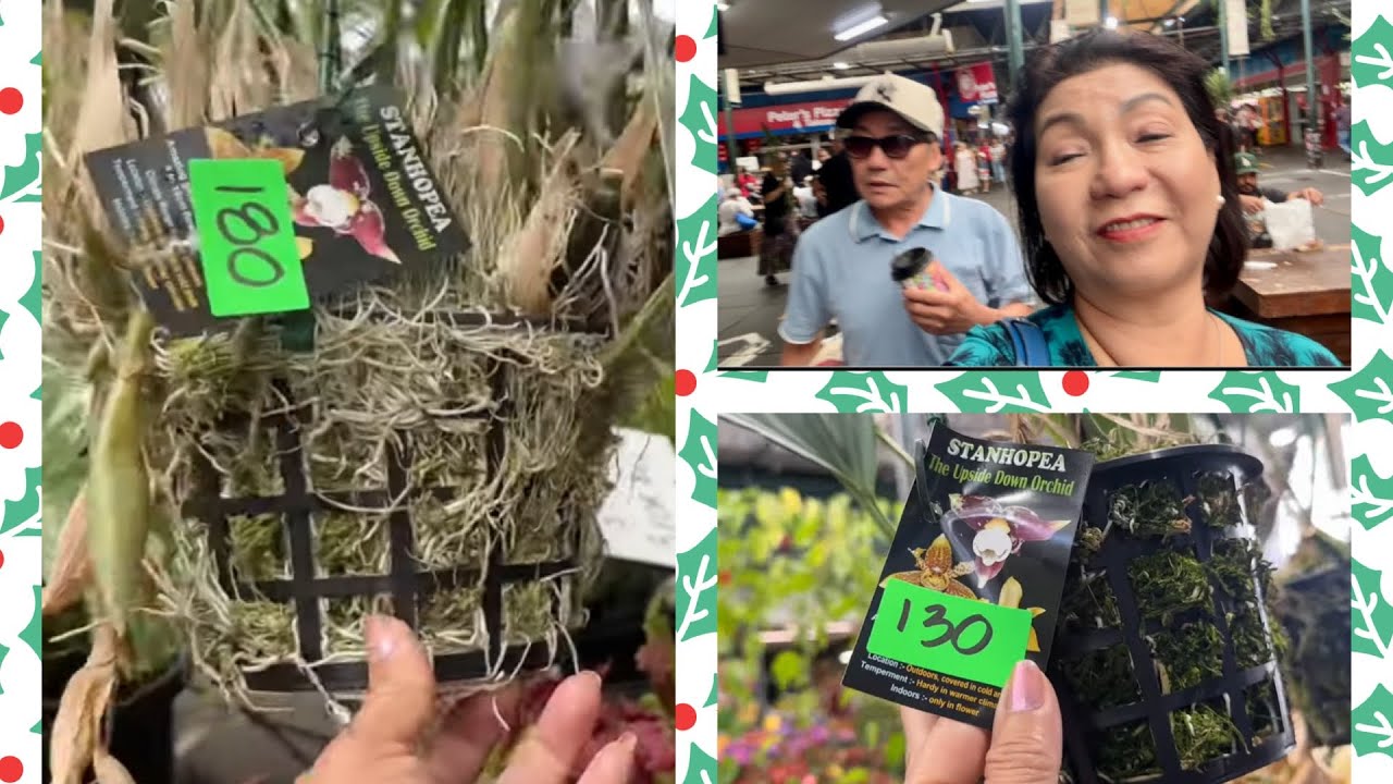 Cuộc Sống Ở Úc 🇦🇺Hôm Nay Đi Chợ Preston Market Rất Đông Người Việt Buôn Bán -Hoa Lan Bông Mộc Ngước￼