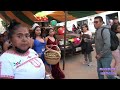 Video de Zapotitlán Palmas