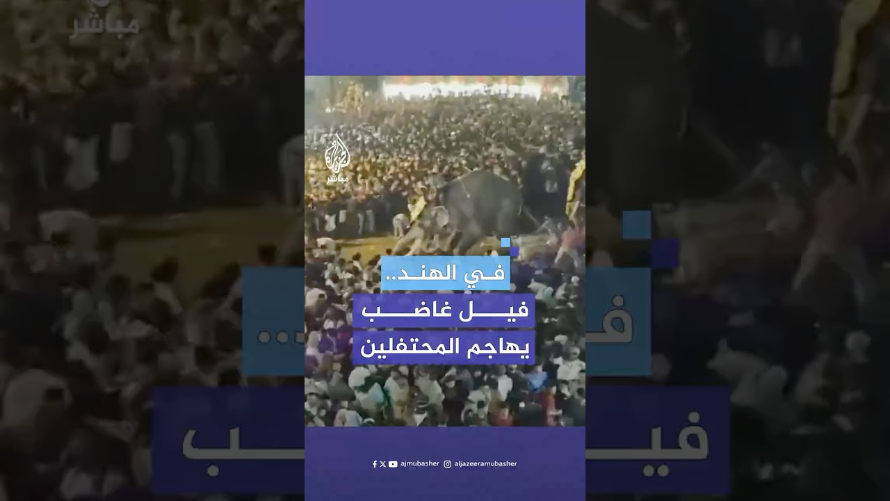 حدث في الهند.. فيل غاضب يهاجم حضورا في مهرجان ويصيب 17 شخصا