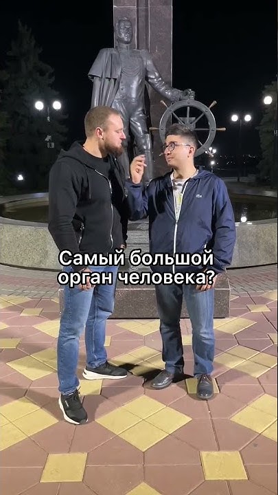 Самый большой орган человека ? - YouTube