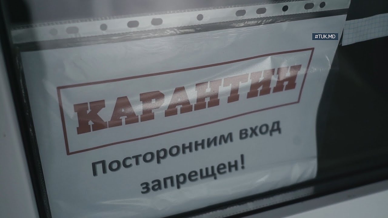 #Nocomment. Первое утро Тараклии на карантине