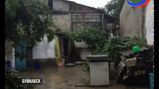 Буйнакск, новости: житель города выращивал коноплю прямо во дворе