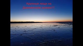 Рыбалка Домкинский Залив 05.01.2021 г.