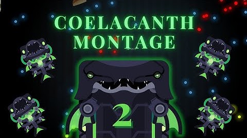 PRO COELACANTH MONTAGE 2 I Deeeep.io