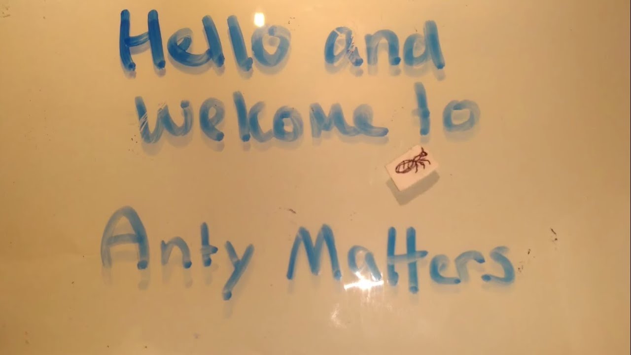 Test tube setups complete guide in less than 3minutes