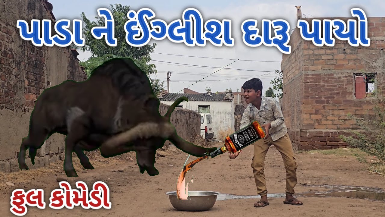 પાડા ને ઈંગ્લીશ દારૂ પાયો | ranjan comedy | gujrati comedy | rc comedy