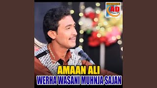 Download lagu Werha Wasani Muhnja Sajan