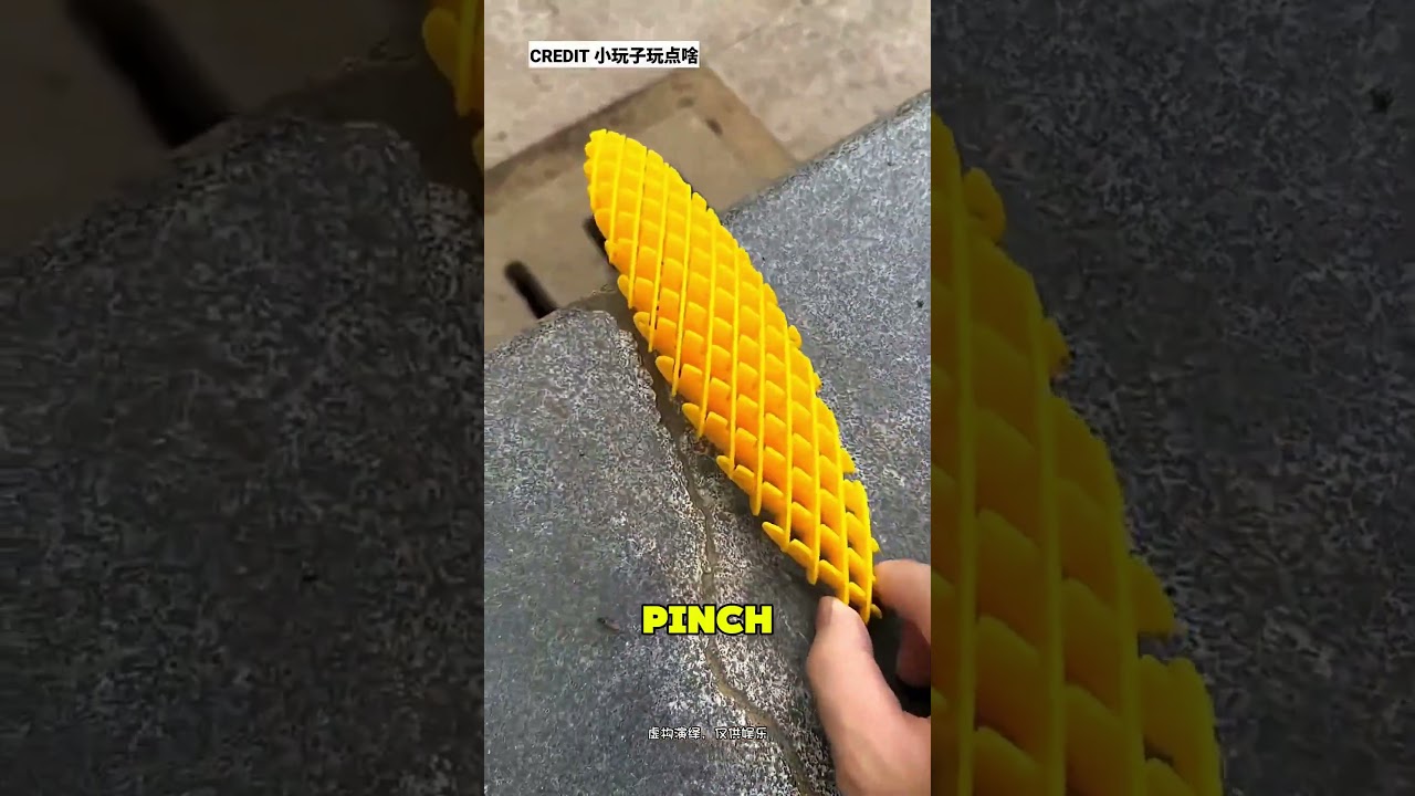 Incredible Colorful Jumping Bugs 🤯❤️