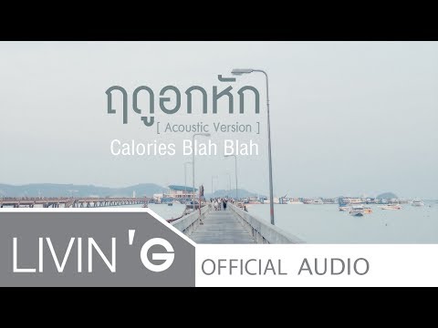 ฤดูอกหัก [Acoustic Version] - Calories Blah Blah [Official Audio]