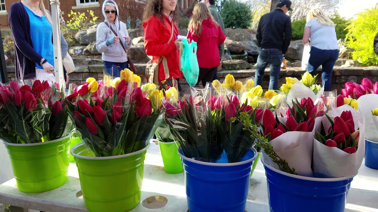 First day at Fayetteville farmers markets 2018 YouTube