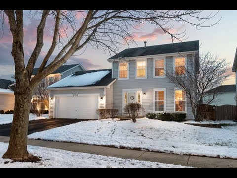 2480 Warm Springs Ln, Naperville, IL home video tour