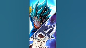 What if STR SSB Goku + SSB Vegeta