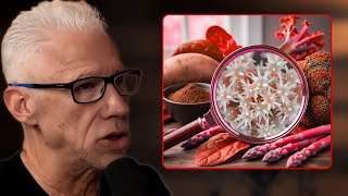 What Is Oxalate Dumping? The Hidden Detox That Could Be Causing Your Symptoms