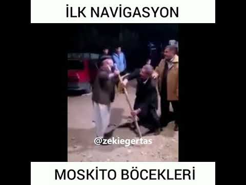 İLK NAVİGASYON BÖCEKLERİ  MOSKİTO BÖCEKLERİ