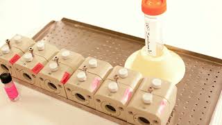 Bovine Corneal Opacity and Permeability (BCOP) Assay