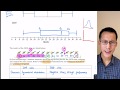 Understanding Box Plots and Medians