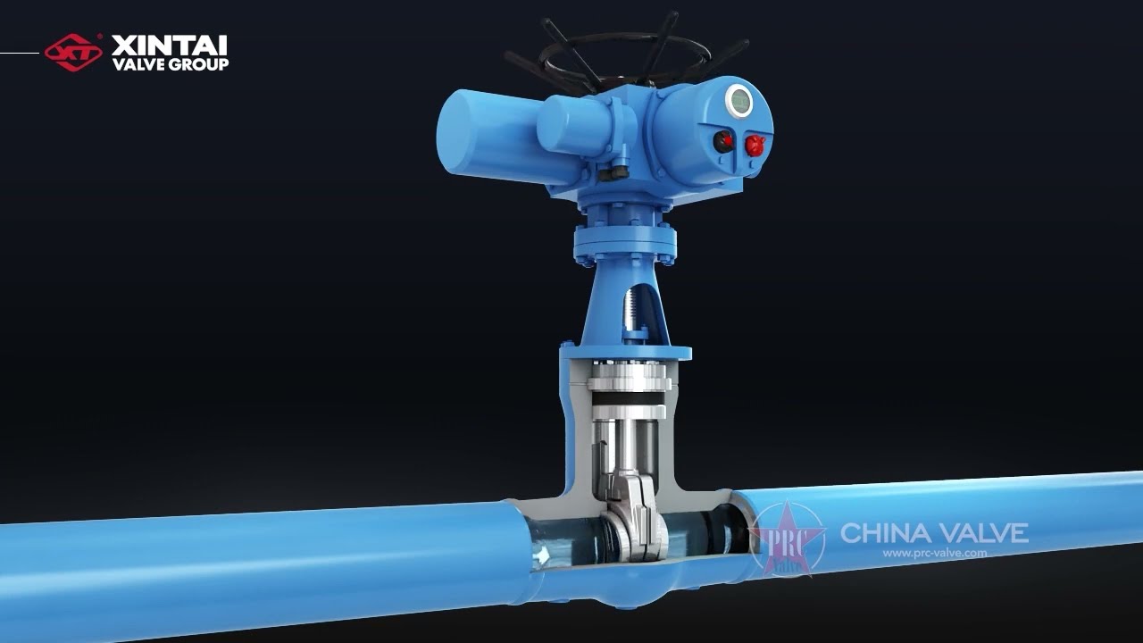 High Temp., High Pressure, Pressure Seal Bonnet Gate Valve