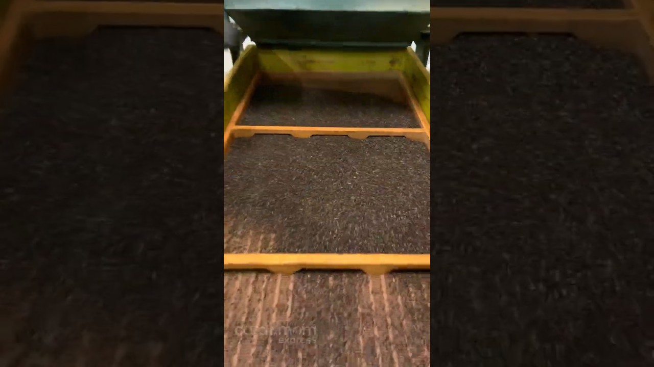 കുരുമുളക് | Black Pepper 