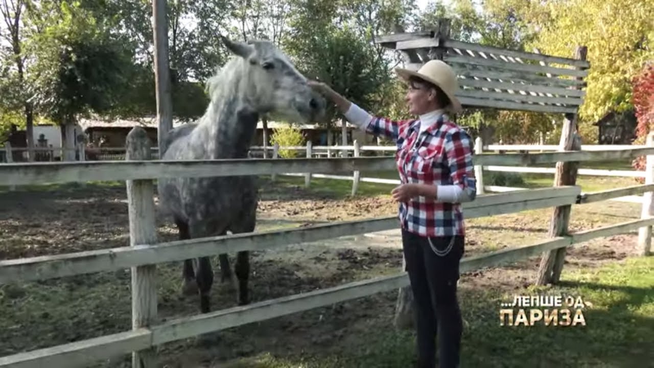 Okružen jezerima i trskom nalazi se salaš LUJZA | Belo Blato | LEPŠE OD PARIZA Ep.45