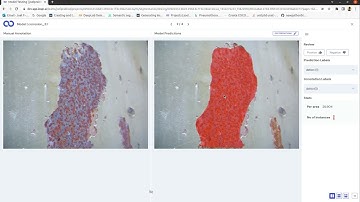 Corrosion Detection on Loopr Platform