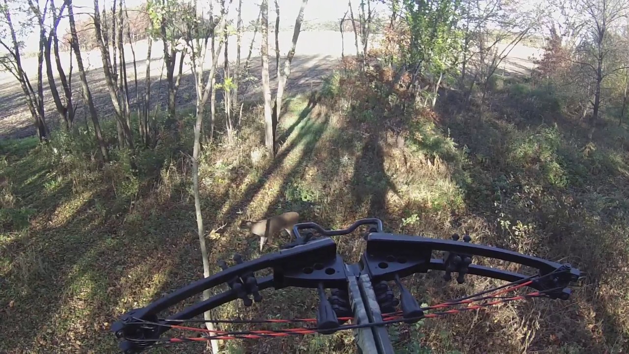 Indiana Hunt 11 10 16 YouTube