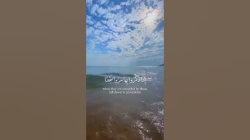 القارئ عبد الرحمن مسعد || من سورة السجدة