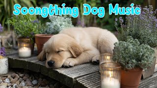 3 Hours of Dog Calming Music For Dogs💖🐶Notes of calm for your dog’s anxious moments 🎼💗