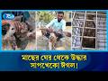 তরুণদের সহায়তায় উদ্ধার হল সেই ঈগল | Eagle Rescue | Sharankhola | Rtv