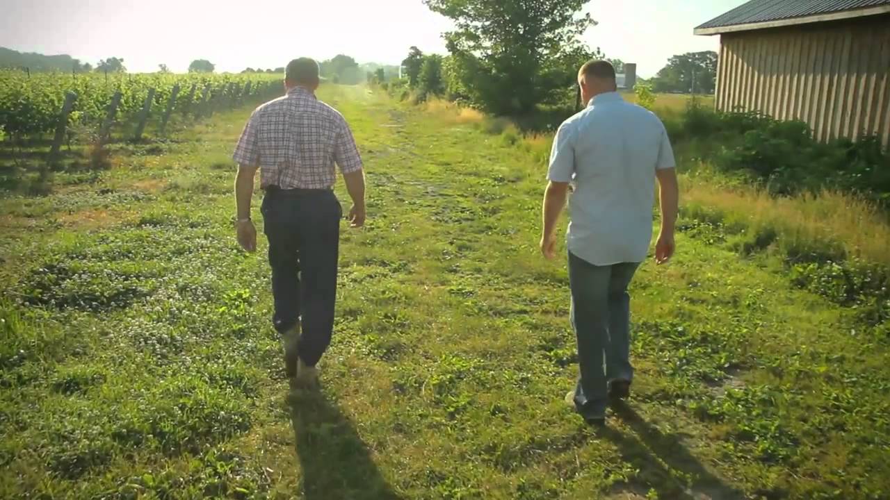 The Funks grow the wines you love in St. Catharines, Ontario YouTube