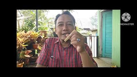 Tutorial Cara Pipa Tulang Sapi Rasanya Gurih Nyeklamin