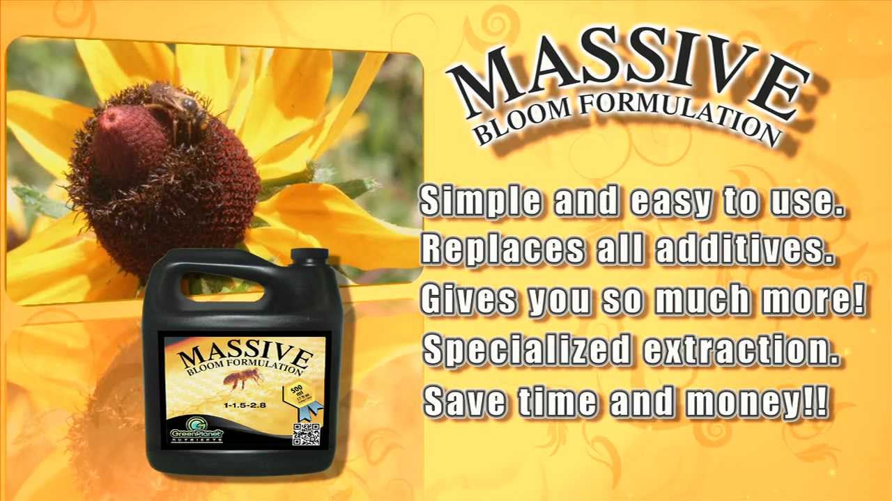 MASSIVE - A Green Planet Product Overview