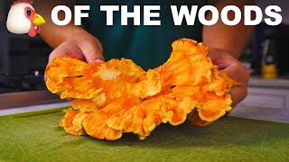 Edible shelf fungus (chicken of the woods 'mushroom')