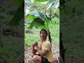 #shortvideo #goodvibes #youtubeshorts #youtubevideo #youtube